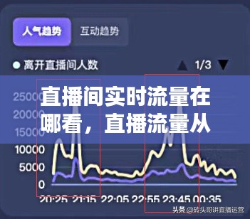 直播间实时流量在哪看,直播流量从哪里来