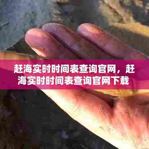 赶海实时时间表查询官网，赶海实时时间表查询官网下载 