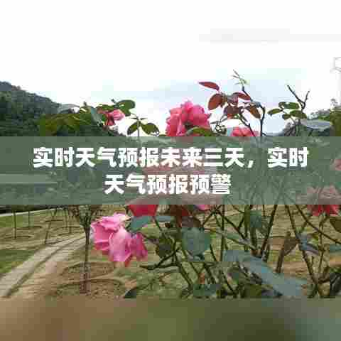 实时天气预报未来三天，实时天气预报预警 