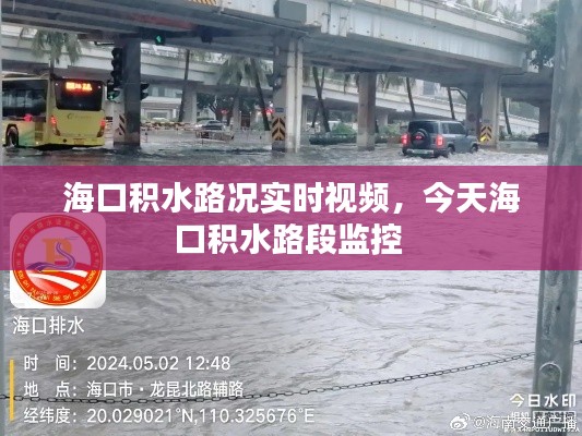 海口积水路况实时视频,今天海口积水路段监控