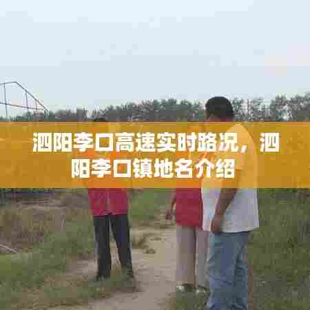 泗阳李口高速实时路况,泗阳李口镇地名介绍