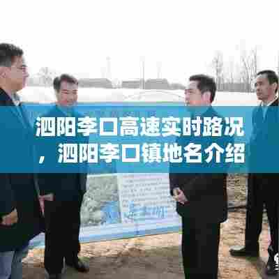 泗阳李口高速实时路况,泗阳李口镇地名介绍