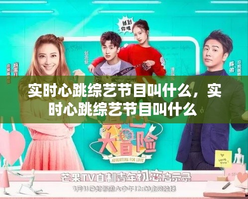实时心跳综艺节目叫什么,实时心跳综艺节目叫什么