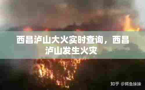 西昌泸山大火实时查询，西昌泸山发生火灾 