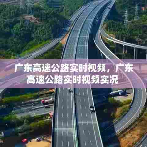 广东高速公路实时视频，广东高速公路实时视频实况 
