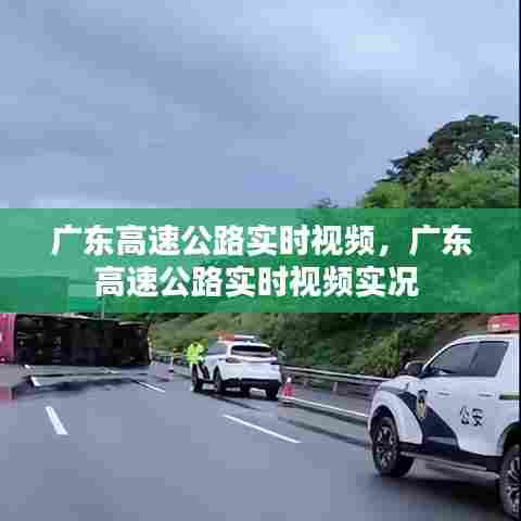 广东高速公路实时视频,广东高速公路实时视频实况