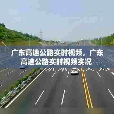 广东高速公路实时视频,广东高速公路实时视频实况