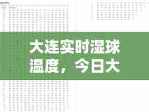 大连实时湿球温度,今日大连湿度