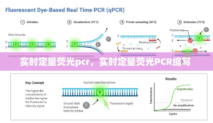 草草了事 第7页