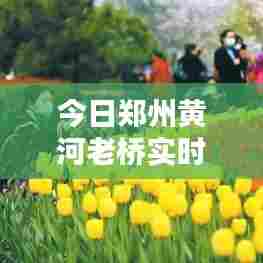 今日郑州黄河老桥实时路况,郑州黄河老桥位置