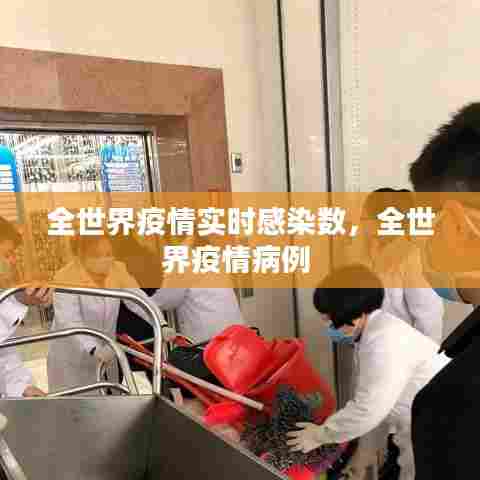 全世界疫情实时感染数,全世界疫情病例