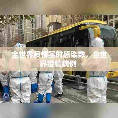 全世界疫情实时感染数,全世界疫情病例