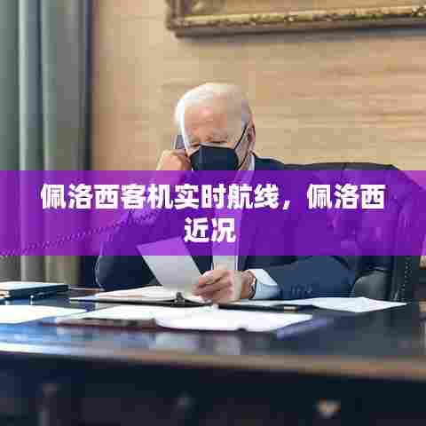 佩洛西客机实时航线，佩洛西近况 