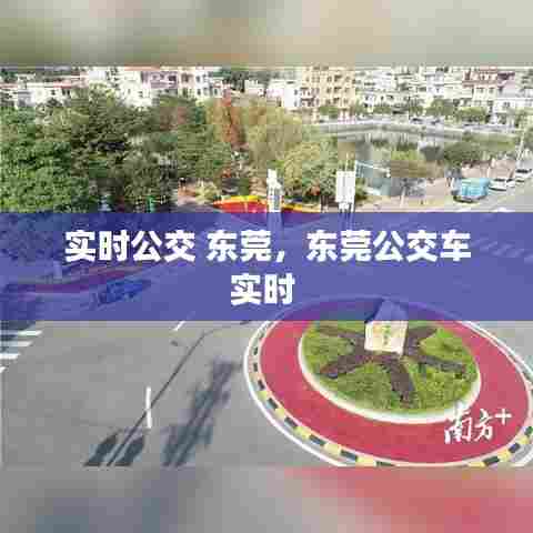 实时公交 东莞,东莞公交车实时