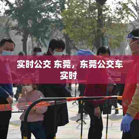 实时公交 东莞,东莞公交车实时