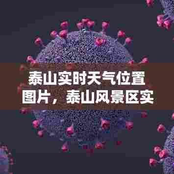 泰山实时天气位置图片，泰山风景区实时天气 