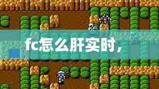 fc怎么肝实时,