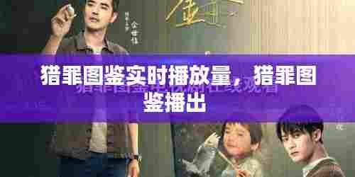 猎罪图鉴实时播放量,猎罪图鉴播出