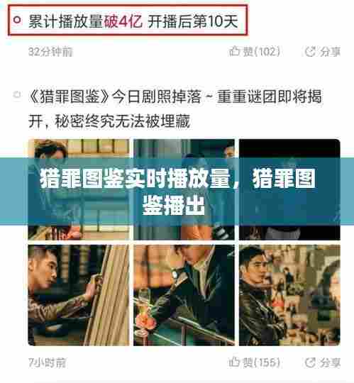 猎罪图鉴实时播放量,猎罪图鉴播出