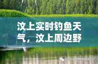 汶上实时钓鱼天气,汶上周边野钓的好地方