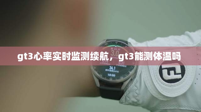 gt3心率实时监测续航,gt3能测体温吗