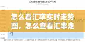 怎么看汇率实时走势图,怎么查看汇率走势