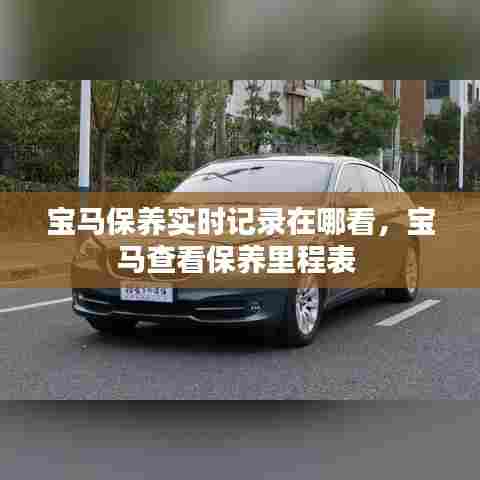 宝马保养实时记录在哪看,宝马查看保养里程表