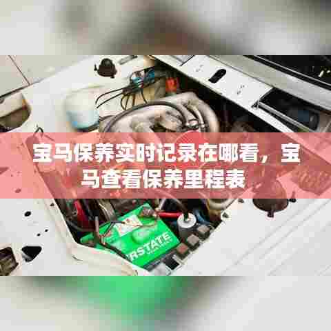 宝马保养实时记录在哪看,宝马查看保养里程表