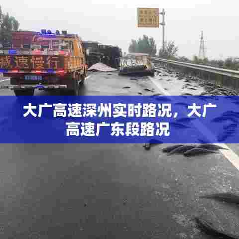 大广高速深州实时路况,大广高速广东段路况
