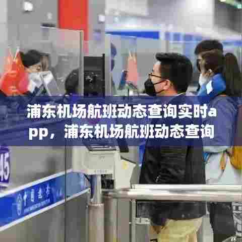 浦东机场航班动态查询实时app,浦东机场航班动态查询实时信息查询官网