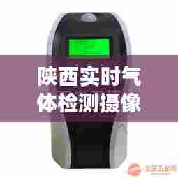 陕西实时气体检测摄像机,西安气体检测公司