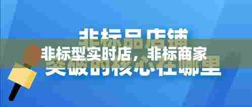 非标型实时店,非标商家