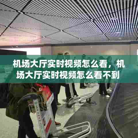 机场大厅实时视频怎么看，机场大厅实时视频怎么看不到 