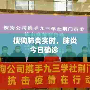 搜狗肺炎实时,肺炎今日确诊