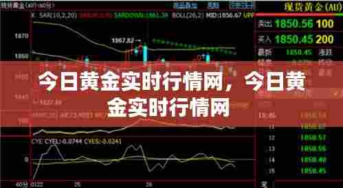 今日黄金实时行情网,今日黄金实时行情网