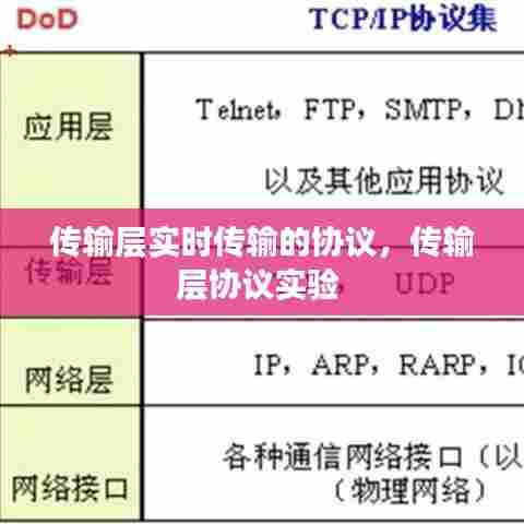 传输层实时传输的协议，传输层协议实验 