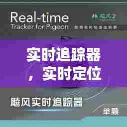 富贵有余 第8页