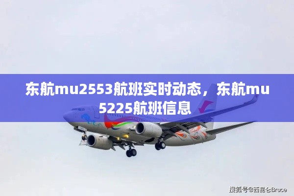 东航mu2553航班实时动态,东航mu5225航班信息