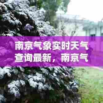 南京气象实时天气查询最新,南京气象实时天气查询最新消息