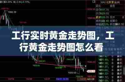 工行实时黄金走势图,工行黄金走势图怎么看