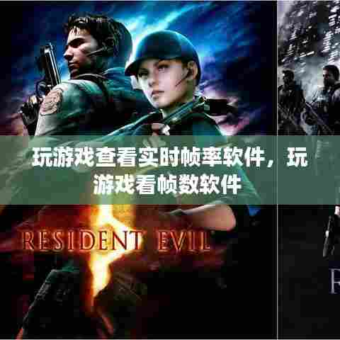 玩游戏查看实时帧率软件,玩游戏看帧数软件