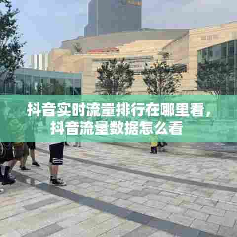 抖音实时流量排行在哪里看,抖音流量数据怎么看