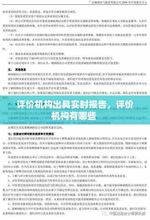 评价机构出具实时报告,评价机构有哪些