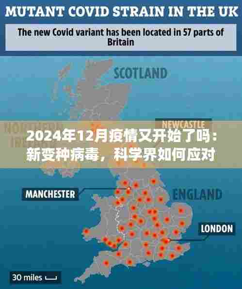 2024年12月疫情又开始了吗：新变种病毒，科学界如何应对