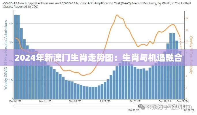 2024年新澳门生肖走势图：生肖与机遇融合