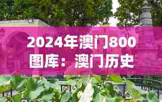 2024年澳门800图库:澳门历史建筑的永恒记忆
