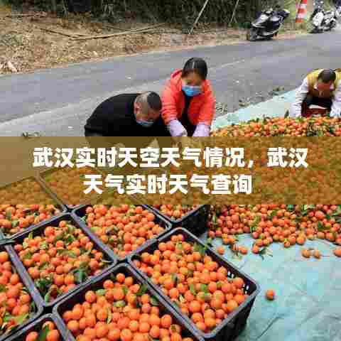 武汉实时天空天气情况,武汉天气实时天气查询