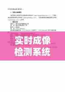 实时成像检测系统验收，成像测试 