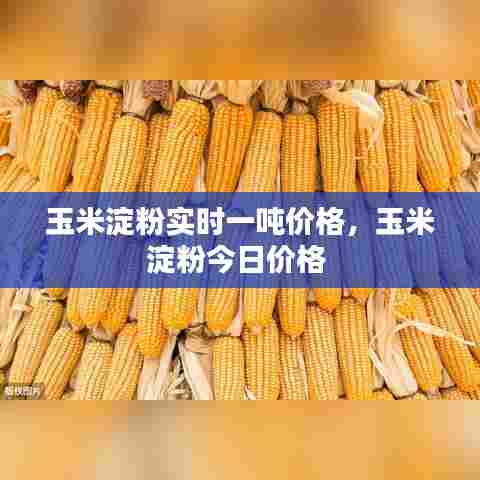 玉米淀粉实时一吨价格，玉米淀粉今日价格 