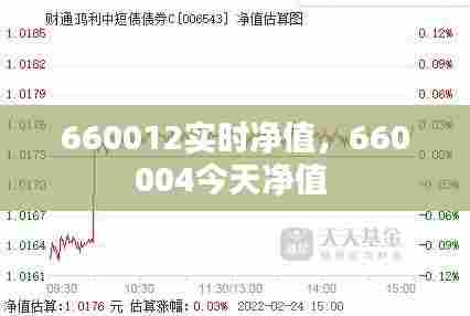 660012实时净值,660004今天净值